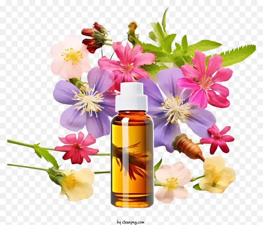 Terapia De Esencias De Flores Realistas，Botella De Aceite Esencial PNG