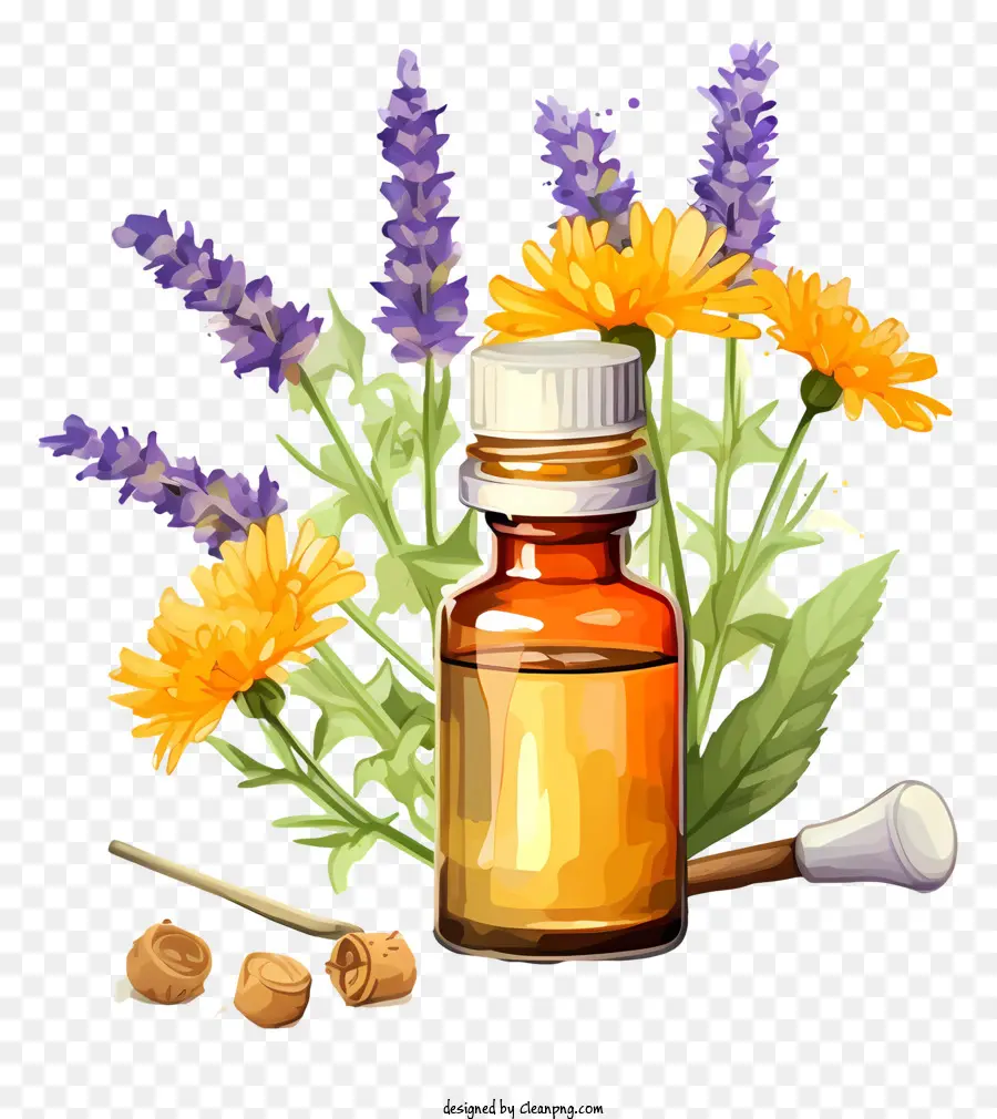 Terapia De Esencias Florales Dibujadas A Mano，Botella De Ámbar Con Flores PNG