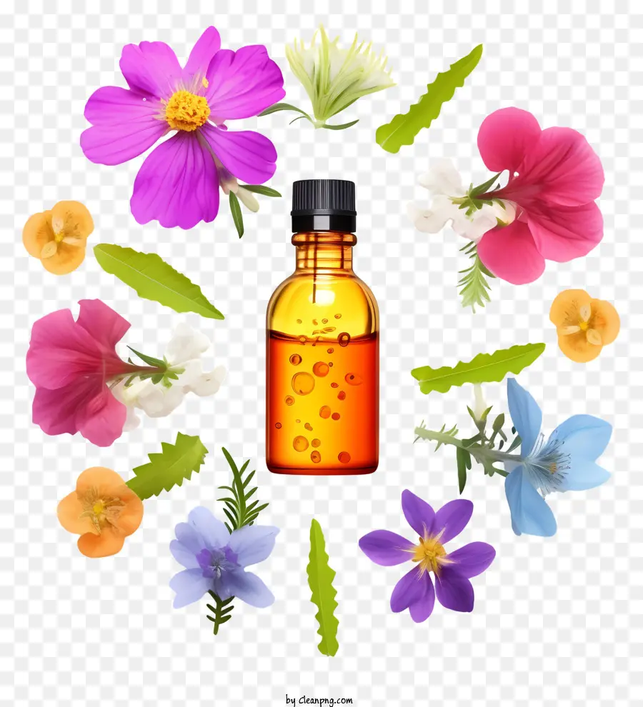 Terapia De Esencias De Flores，Aceite Esencial PNG