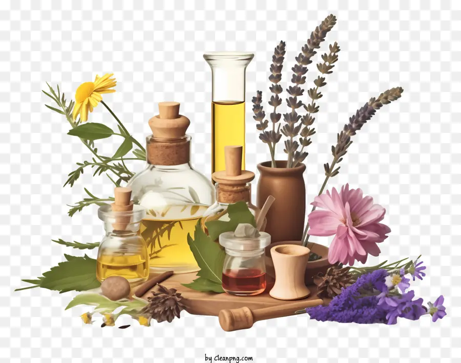 Aceites Esenciales，Hierbas PNG