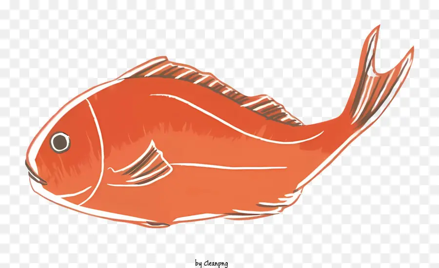 Dibujos Animados，Pescado Naranja Y Blanco PNG