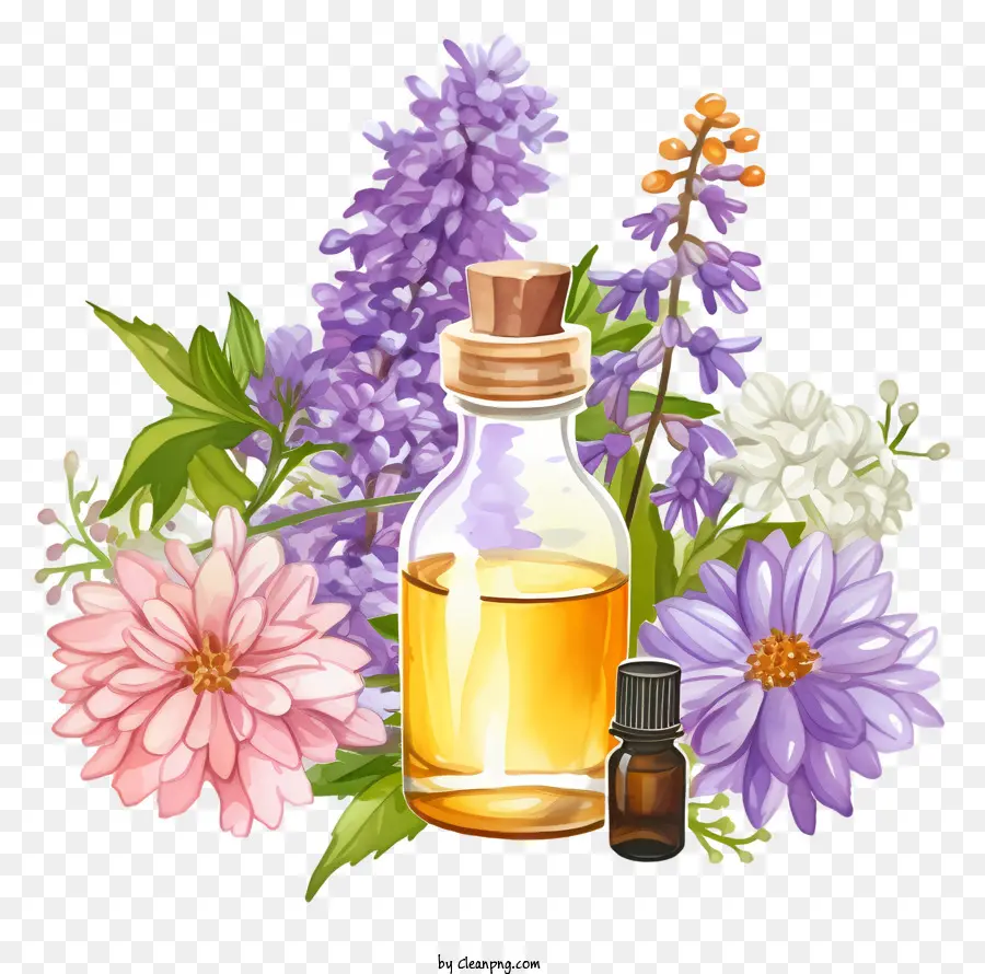 Terapia De Esencias De Flores Dibujadas A Mano，Aceite Esencial PNG