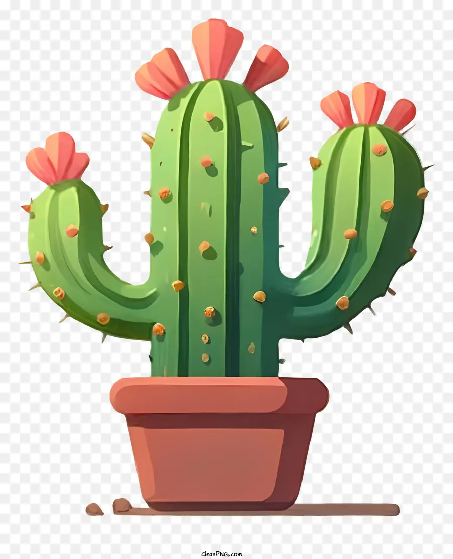 La Historieta，Cactus PNG