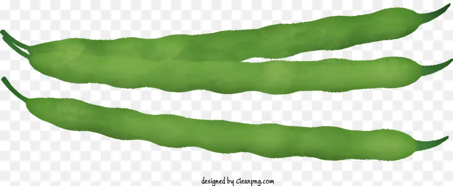 La Historieta，Vegetal Verde PNG