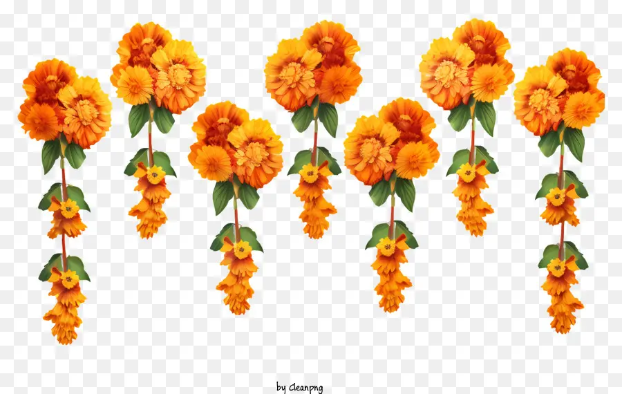 Guirnalda De Flores De Caléndula，Flores De Color Naranja PNG
