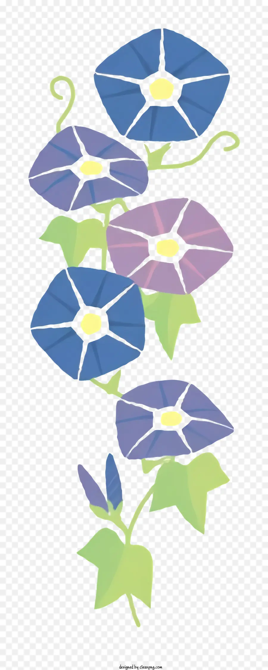 Dibujos Animados，Flores De Gloria De La Mañana PNG