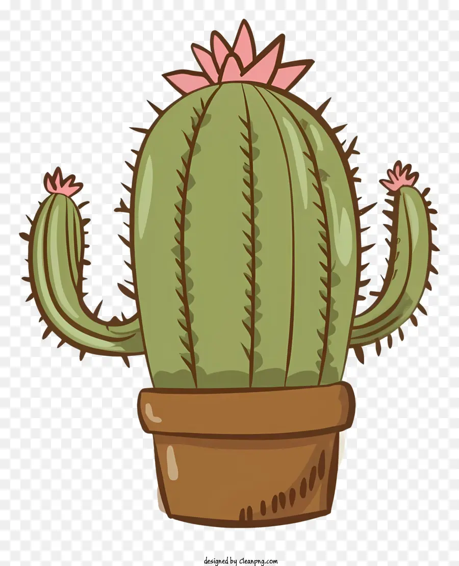 La Historieta，Planta De Cactus PNG