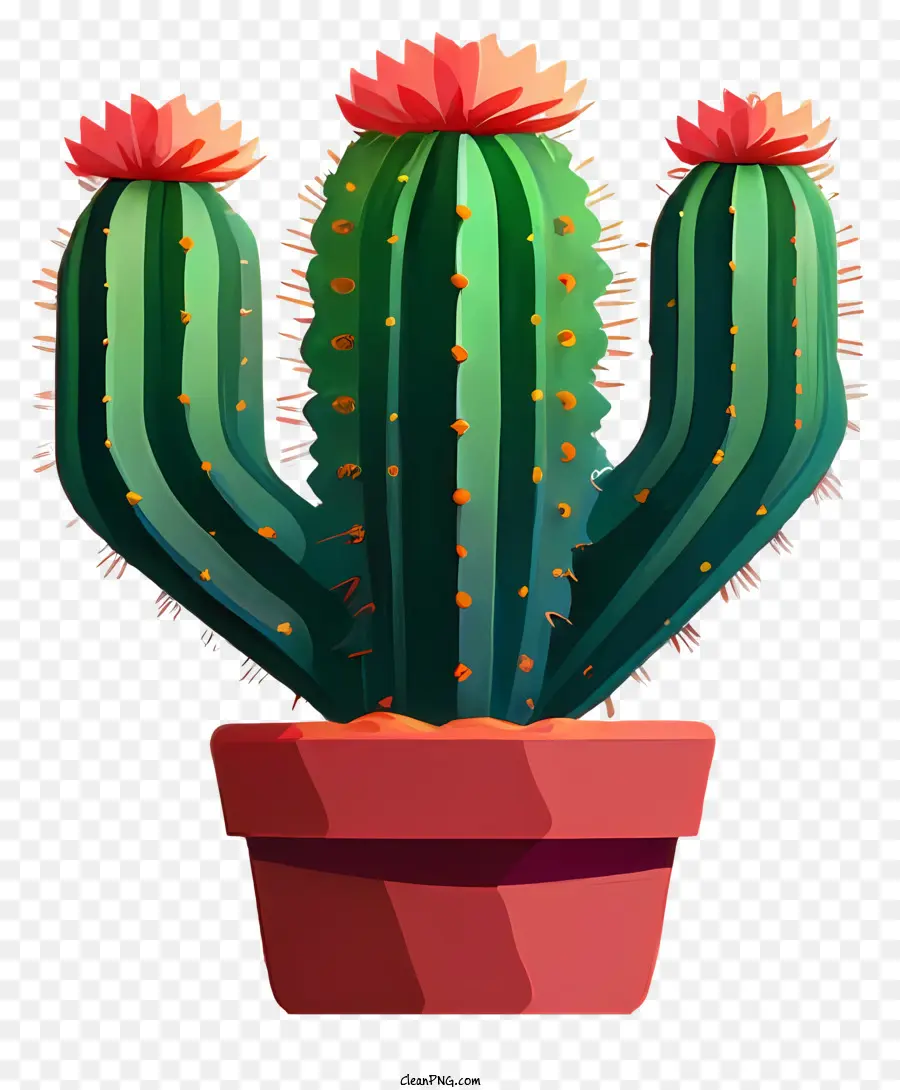 La Historieta，Planta De Cactus PNG