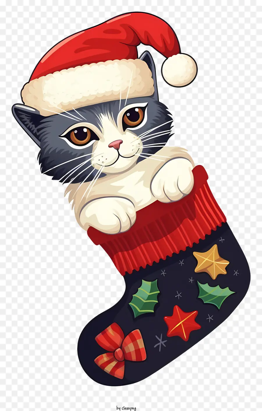 Gato Realista En El Calcetín De Navidad，Gato Blanco Y Gris PNG