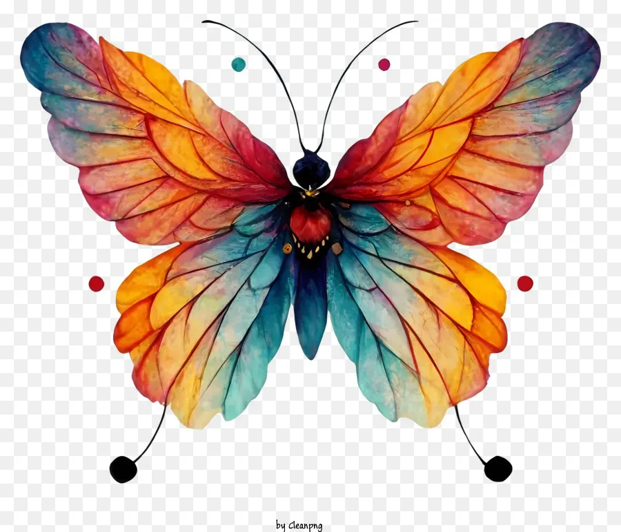 La Historieta，Colores De La Mariposa PNG