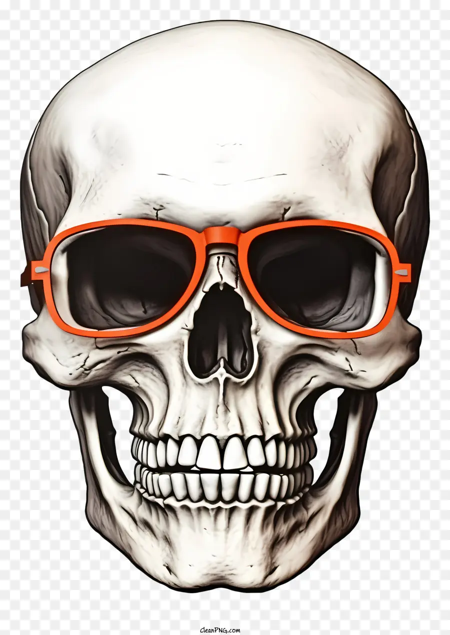 Calavera Genial Realista，Cráneo Humano PNG