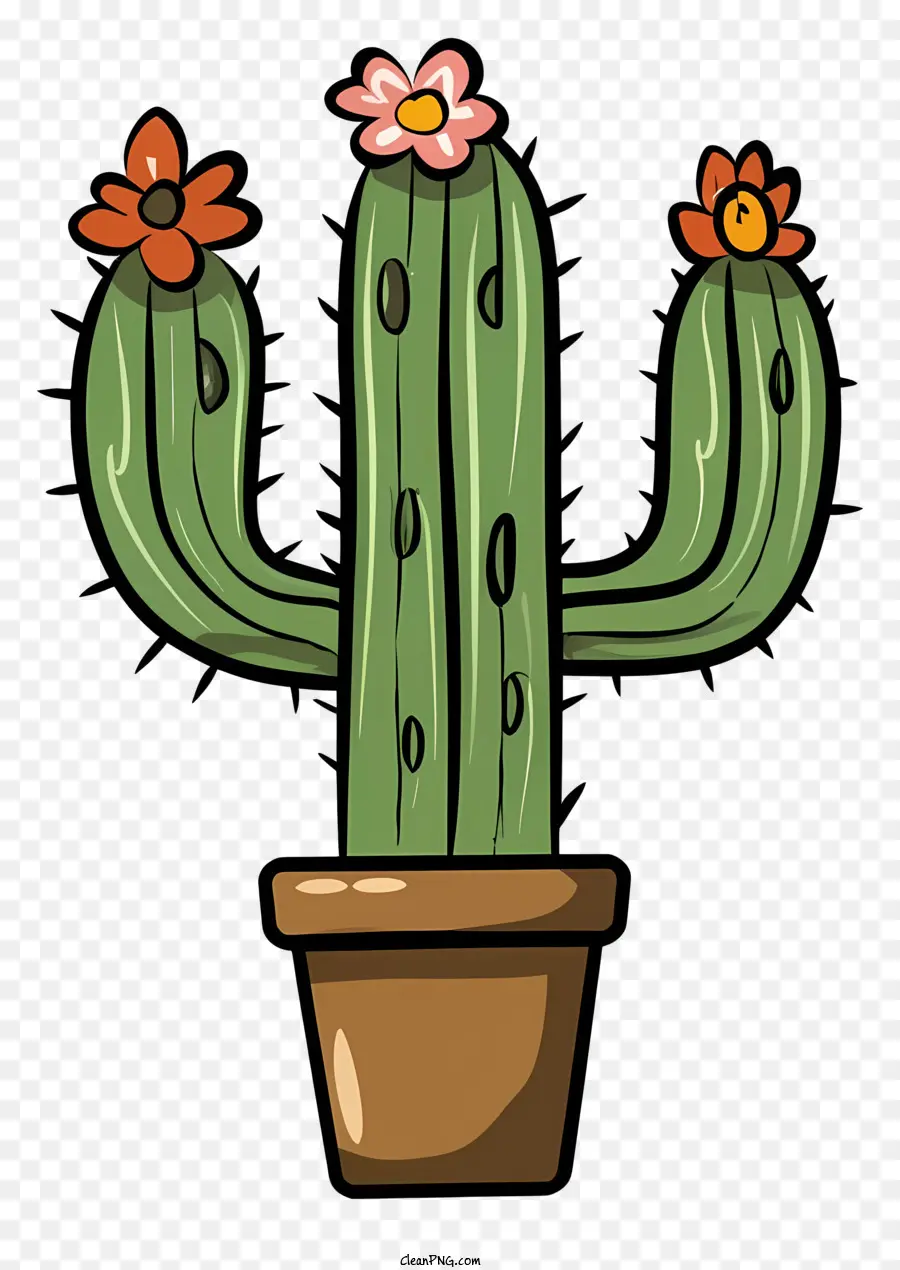 La Historieta，Planta De Cactus PNG