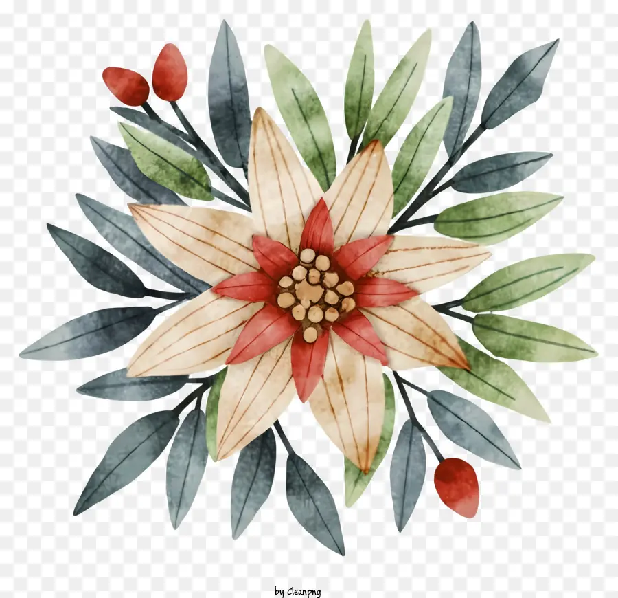 Dibujos Animados，Flor PNG