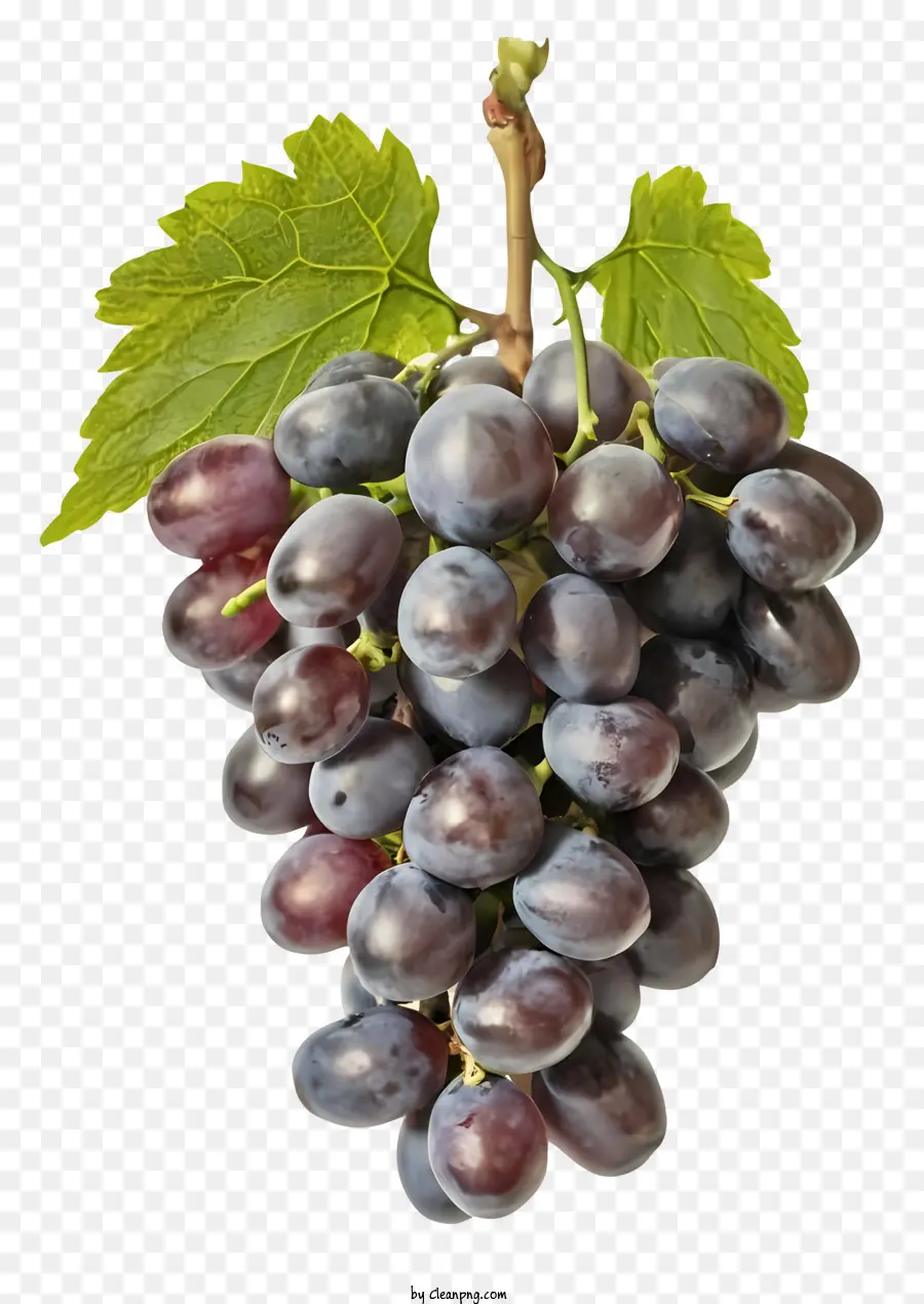 La Historieta，Uvas Moradas PNG