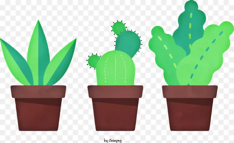 La Historieta，Cactus Verdes PNG