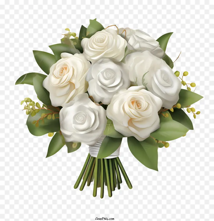 Flor De Rosa Blanca，Las Rosas PNG