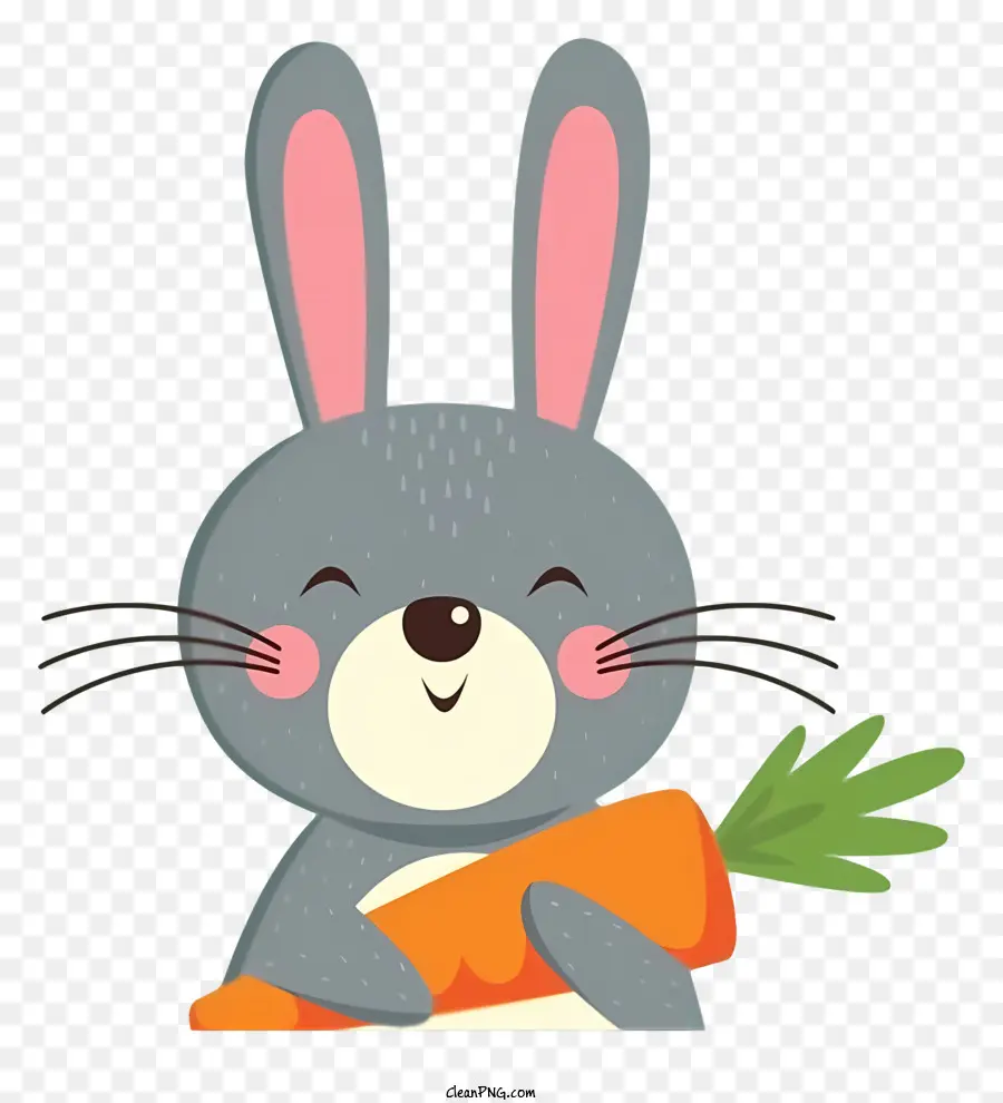 Bunny Cara，Cartoon Rabbit PNG