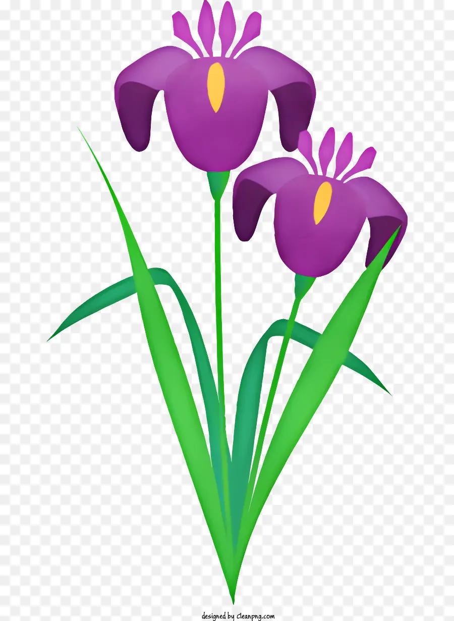 Flores De Iris Púrpura，Pintura A La Acuarela PNG