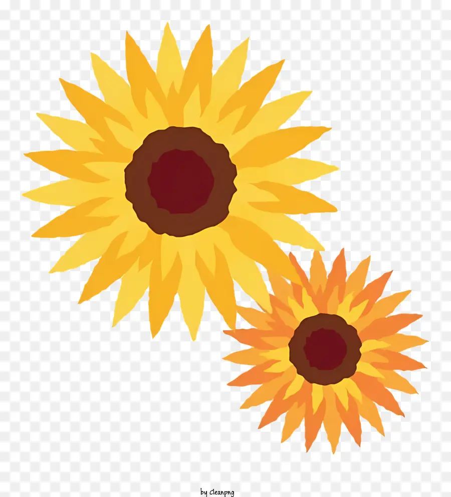 La Historieta，Los Girasoles PNG