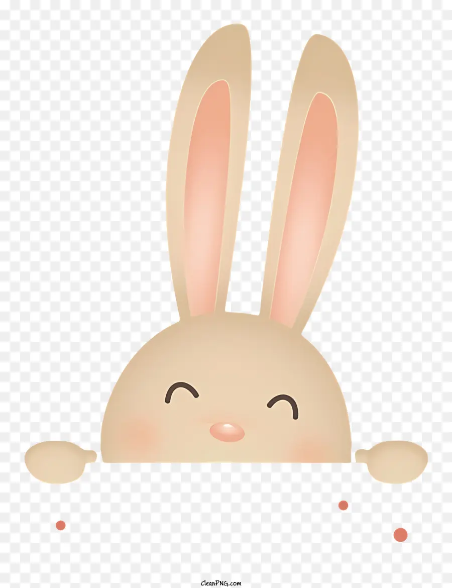 Bunny Cara，Cartoon Rabbit PNG