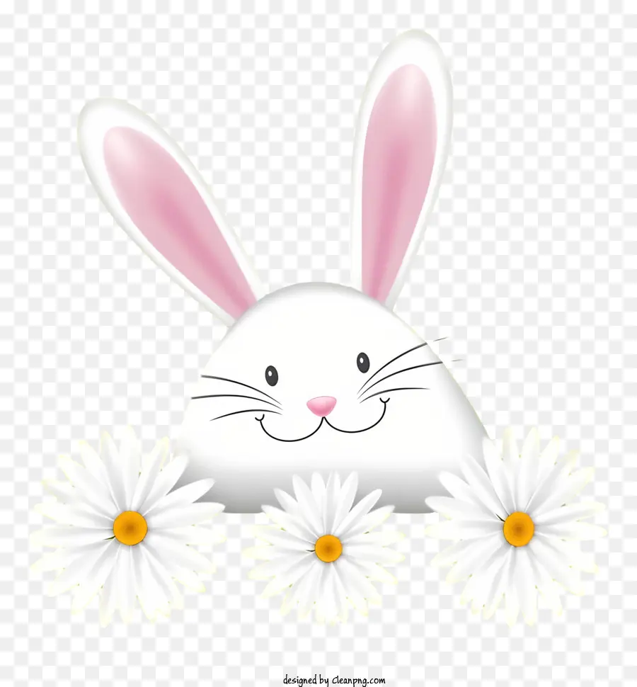 Bunny Cara，Conejo Blanco PNG