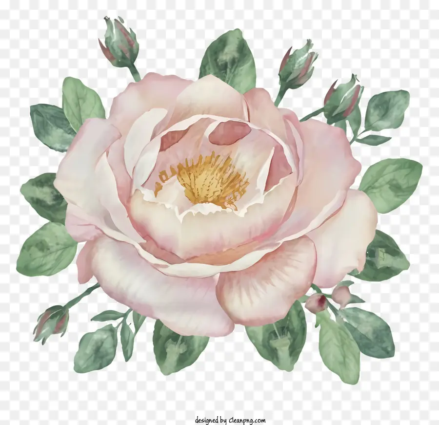 Dibujos Animados，Flor Rosa PNG