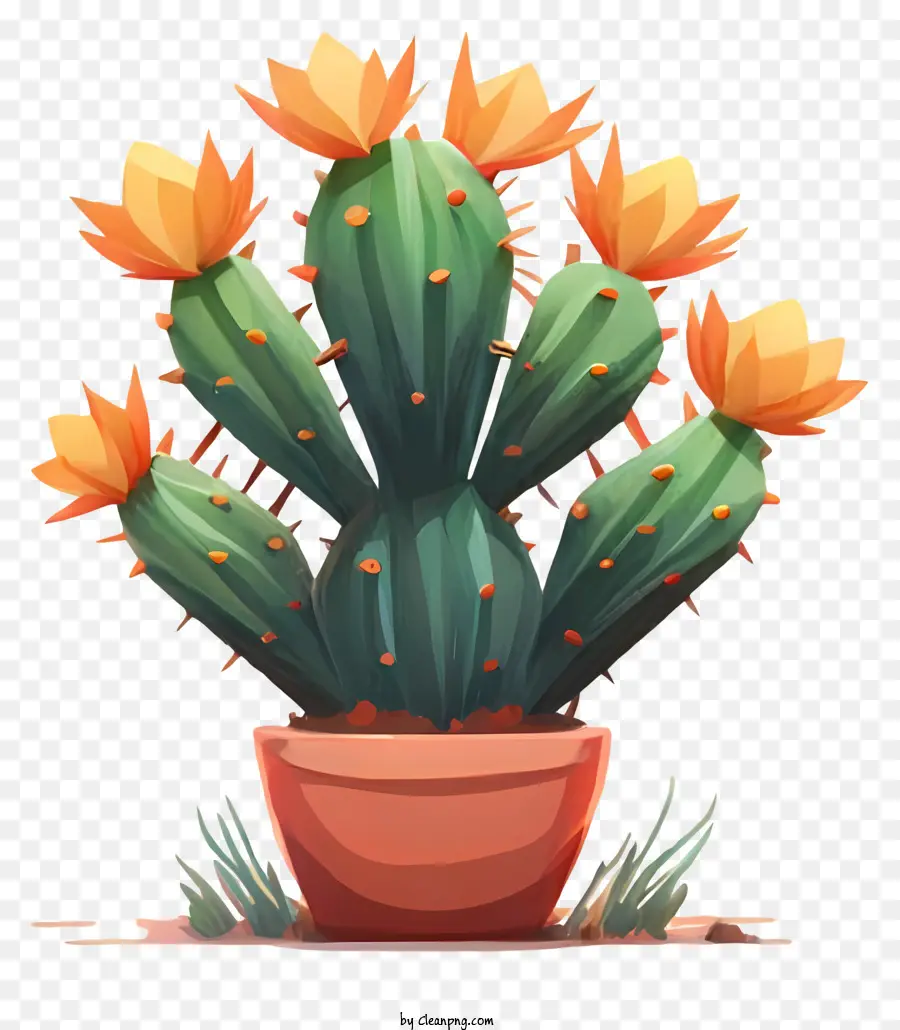 La Historieta，Planta De Cactus PNG
