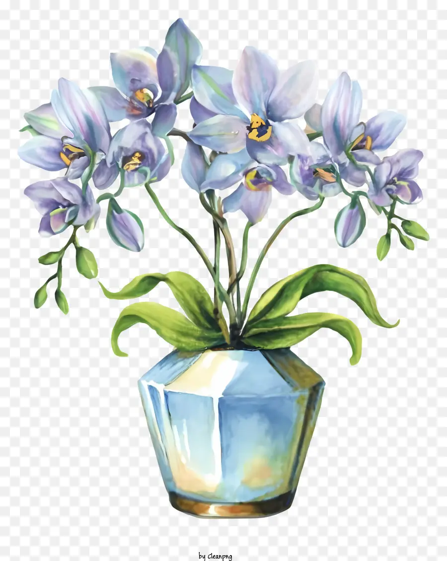 Dibujos Animados，Florero PNG