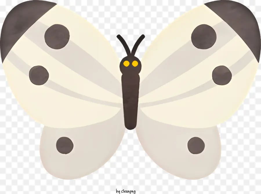 La Historieta，Mariposa Blanca PNG