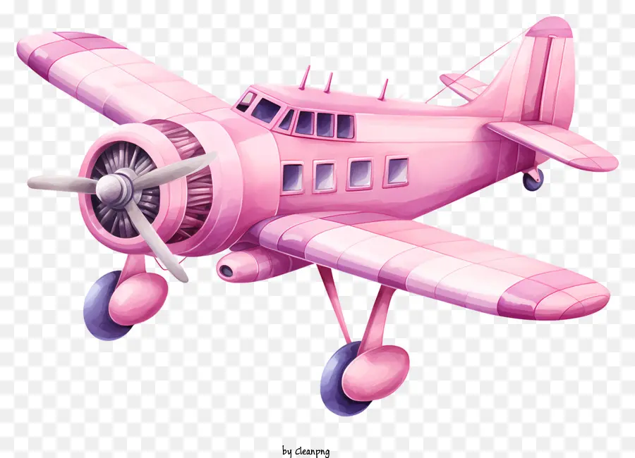 Avión De San Valentín，Rosa Avión PNG