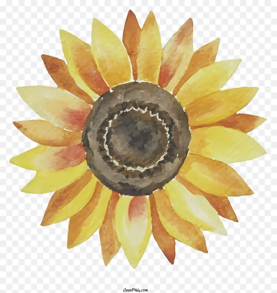 Dibujos Animados，Girasol PNG