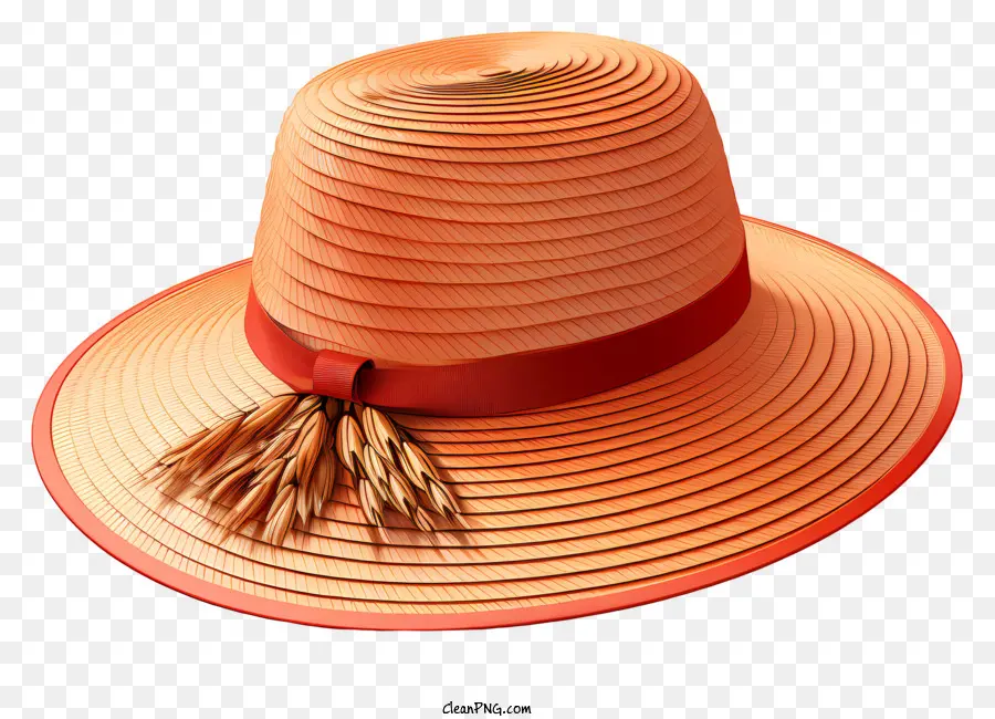 Sombrero，Womans Sombrero PNG