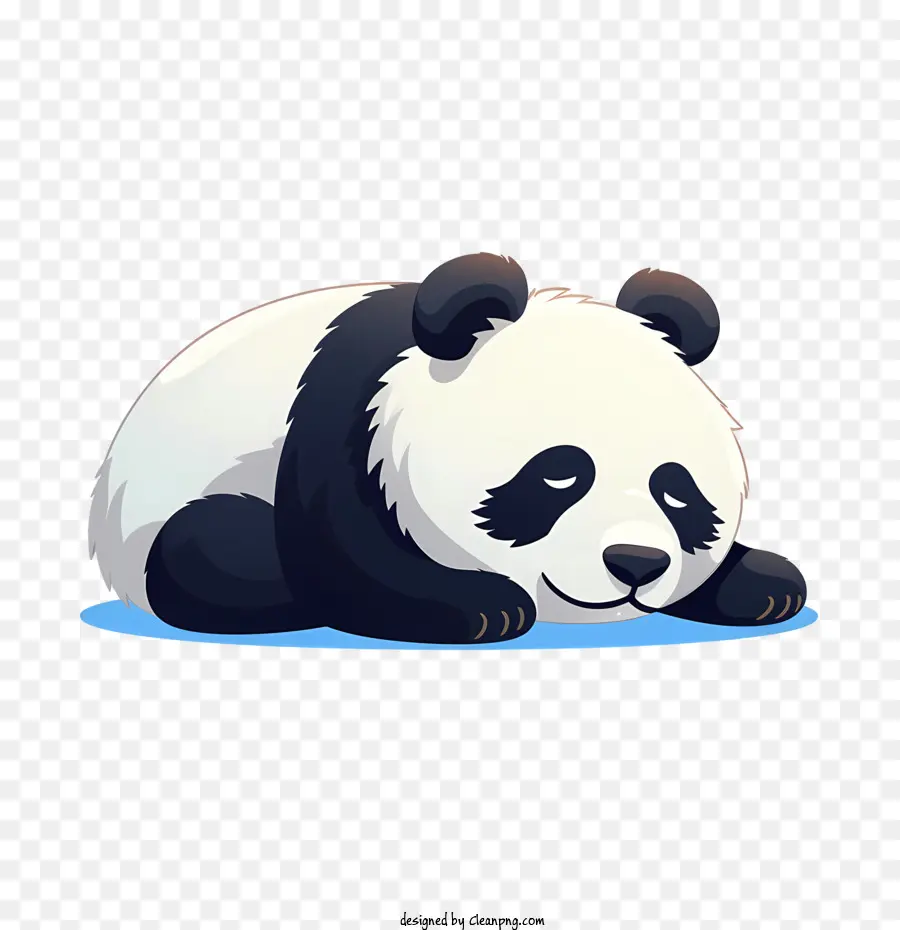 Lindo Panda，Panda PNG