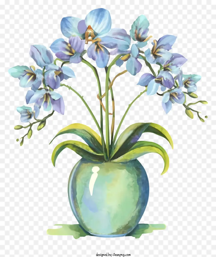 La Historieta，Jarrón Con Flores Azules PNG