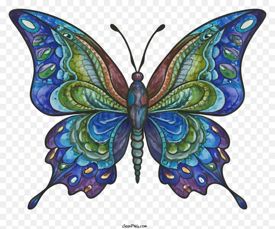 La Historieta，Colores De La Mariposa PNG