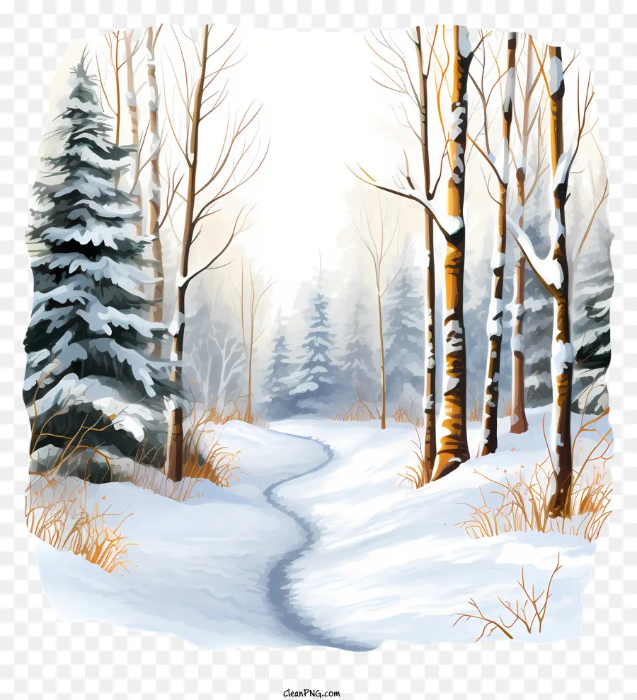 Camino De Invierno，Bosque De Invierno PNG