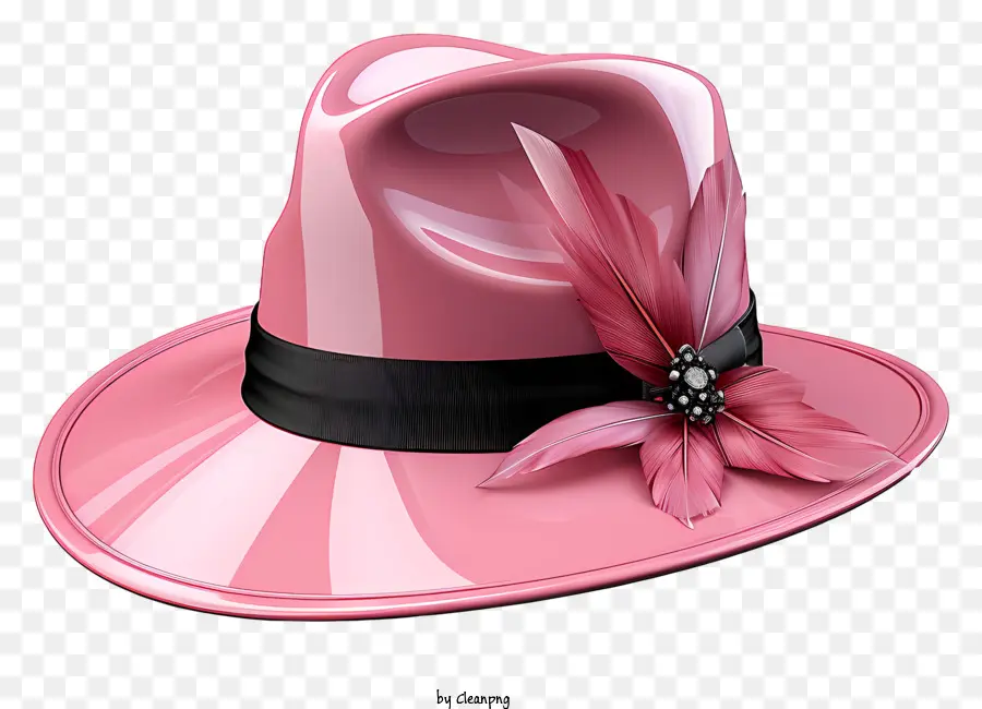 Sombrero，Sombrero Rosa PNG