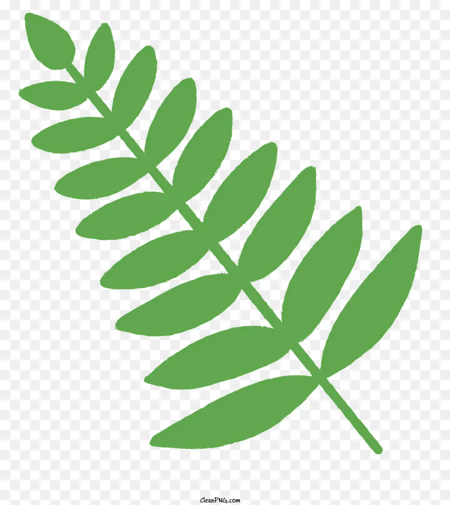 Hoja De Helecho，Verde Hoja PNG