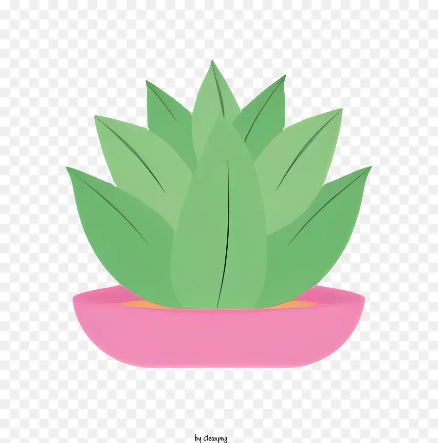 Flecha，Planta En Maceta PNG