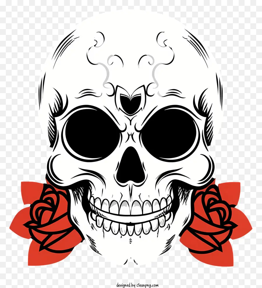 Skull Sketch，Cráneo Humano PNG