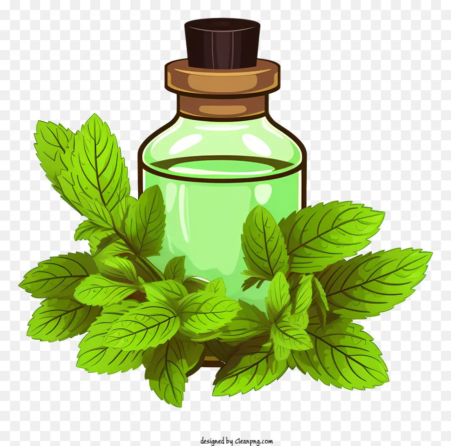 Aceite Esencial，Menta PNG