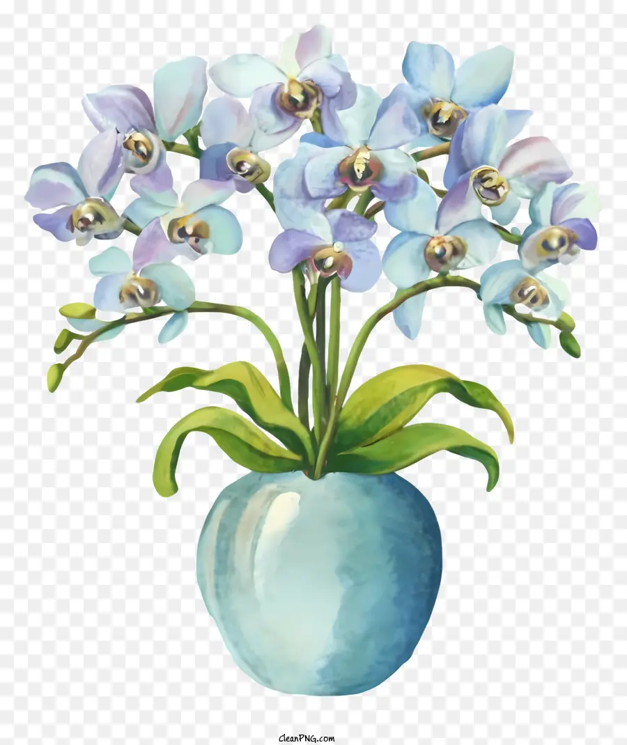 La Historieta，Orquídeas De Acuarela PNG