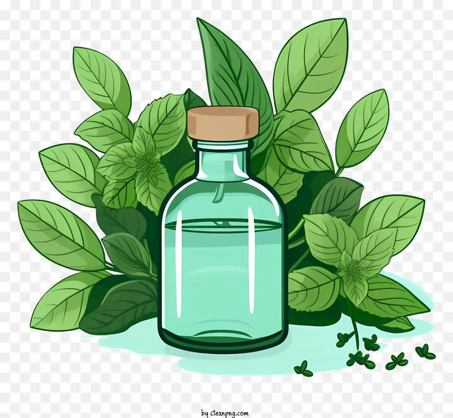 Aceite Esencial，Menta PNG