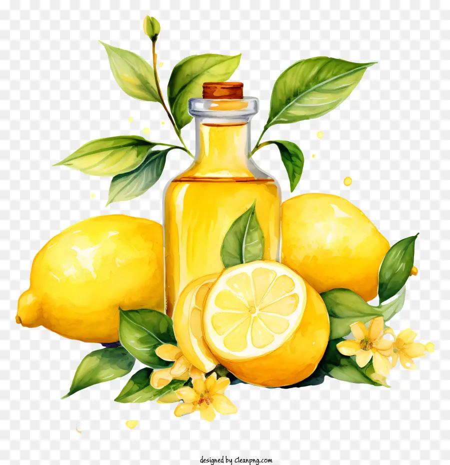Aceite De Limón，Pintura De Acuarela PNG