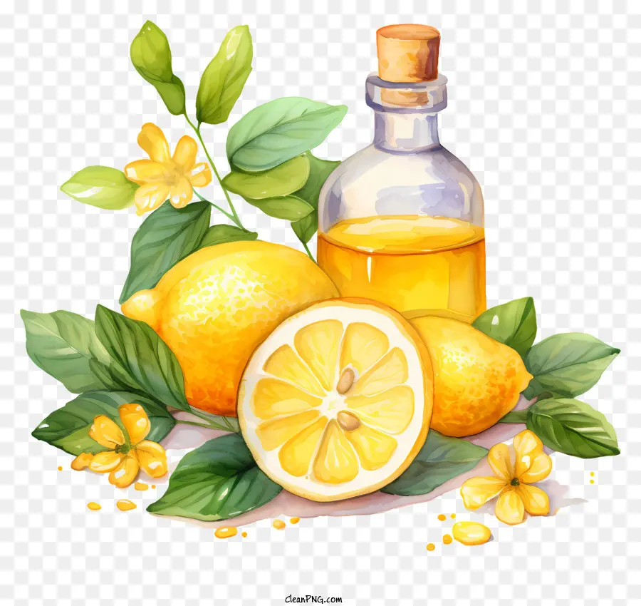 Aceite De Limón，El Aceite De Cocina PNG