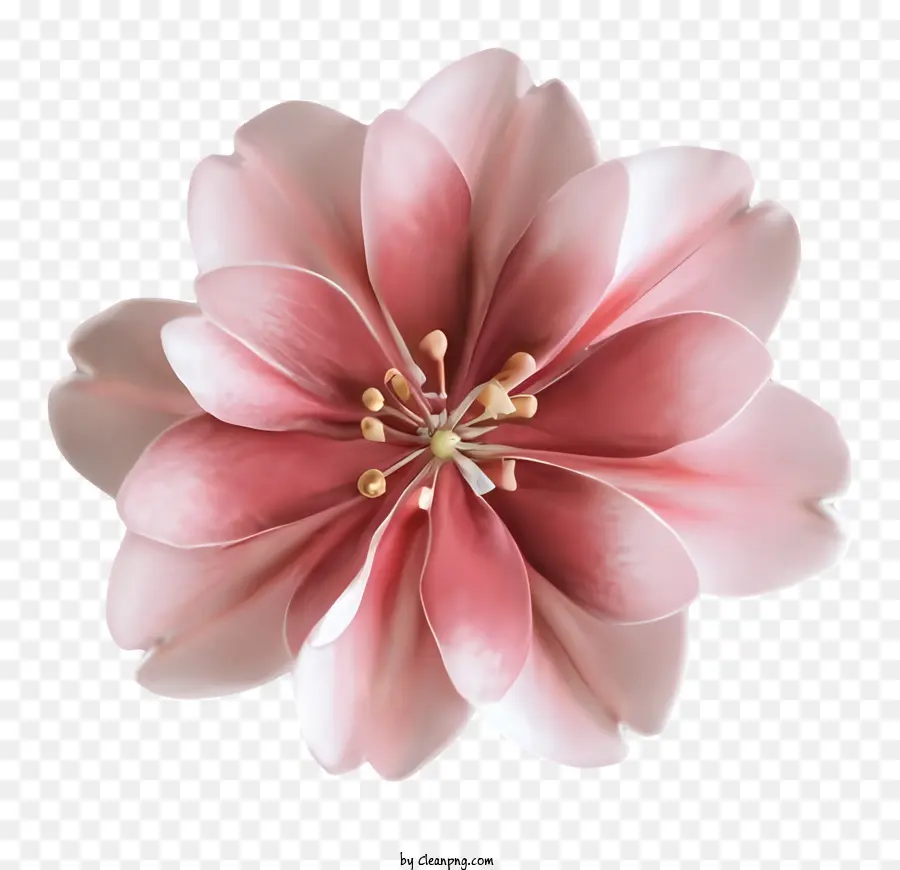 La Historieta，Flor Rosa PNG