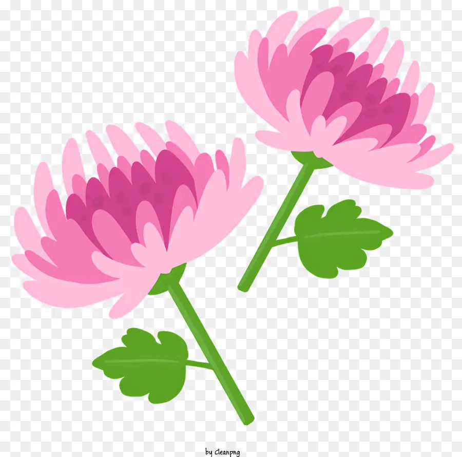 Icono，Flores Rosadas PNG