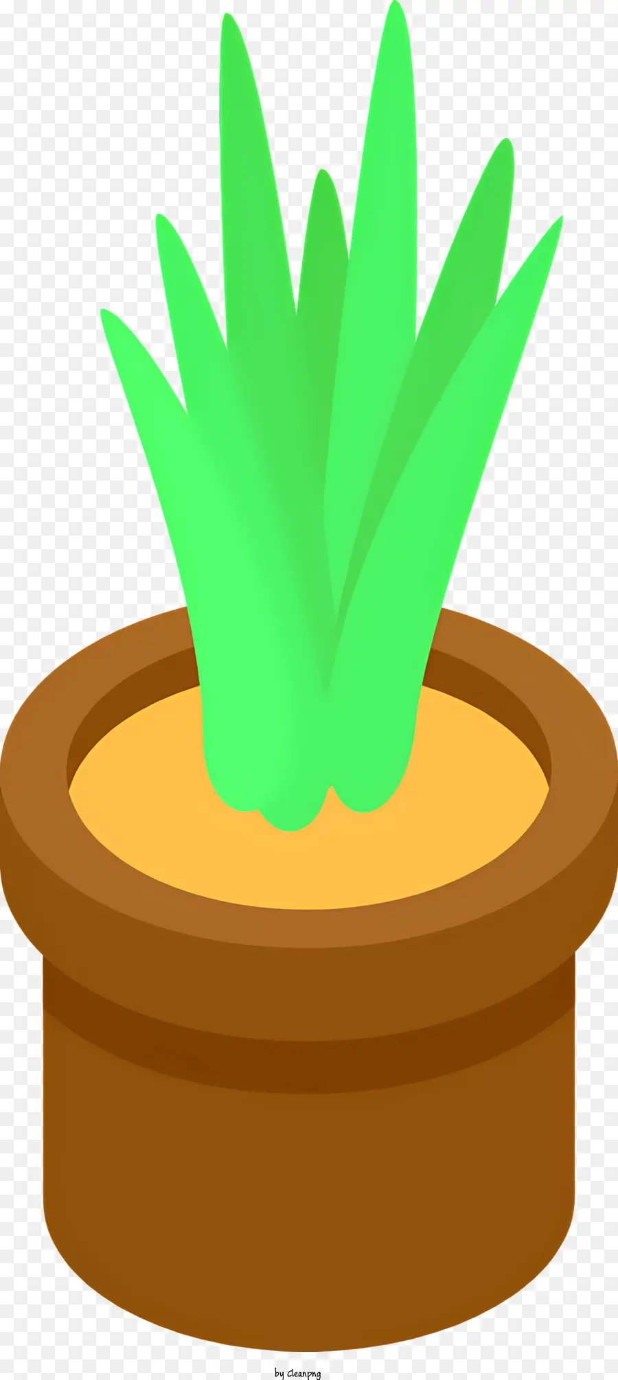 Planta En Maceta，Hojas Verdes PNG