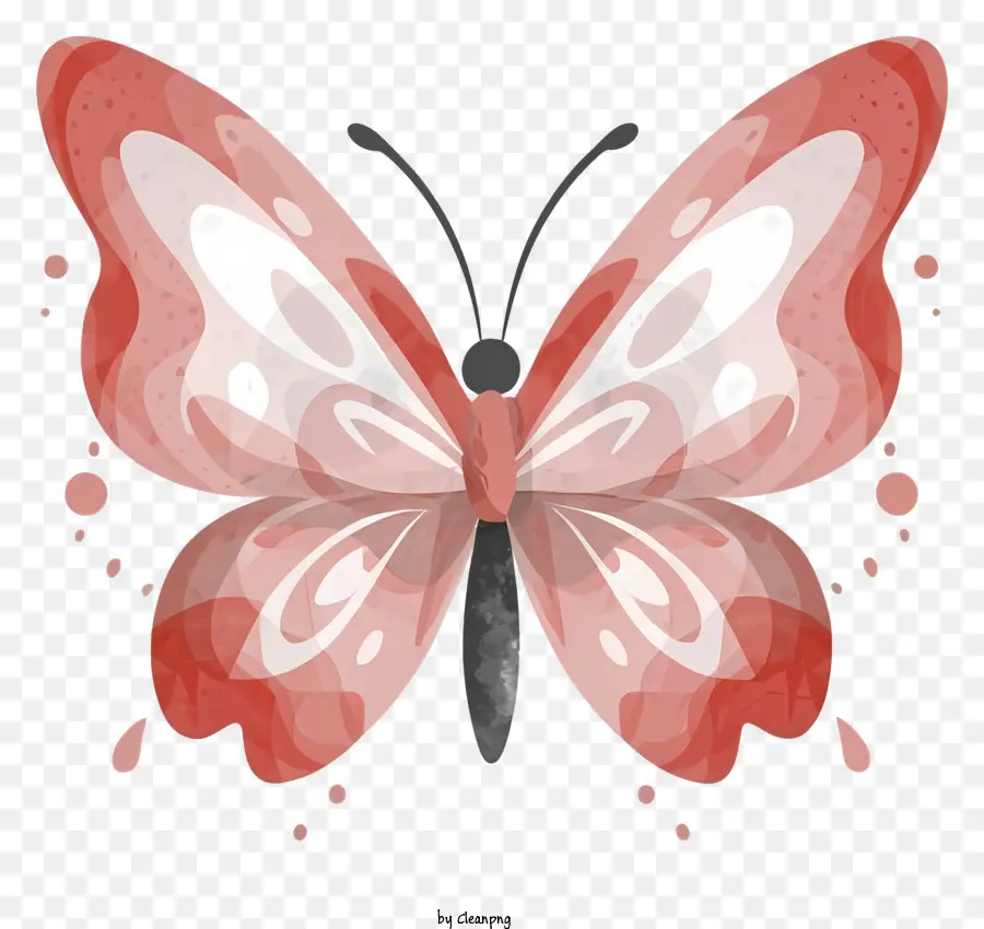 La Historieta，Mariposa PNG