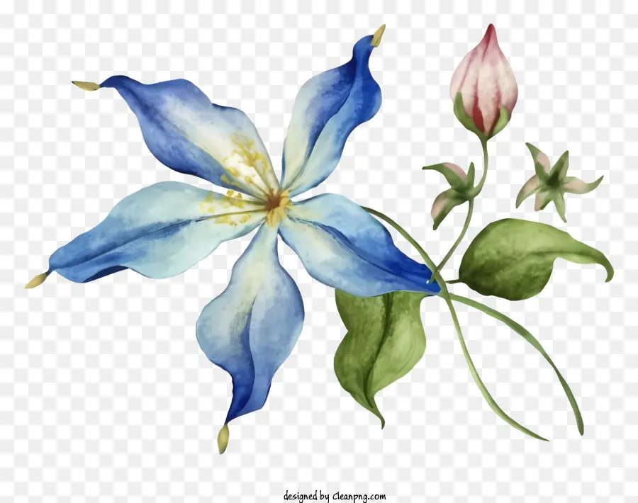 La Historieta，Flor Azul PNG